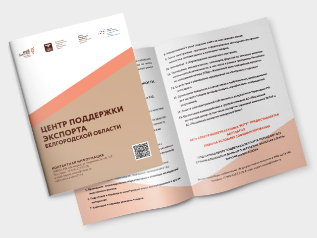 Дизайн брошюры для «Центра поддержки экспорта»