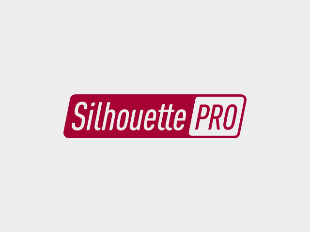Логотип для мебельной компании Silhouette/Pro