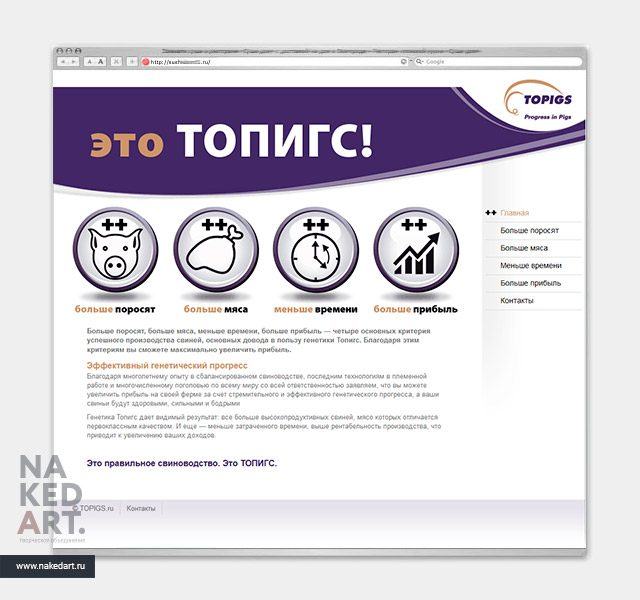 Сайт выгод сотрудничества с компанией «Топигс» пример
